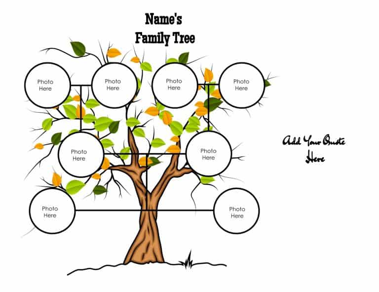 3 Generation Family Tree Generator | All Templates are Free to Customize