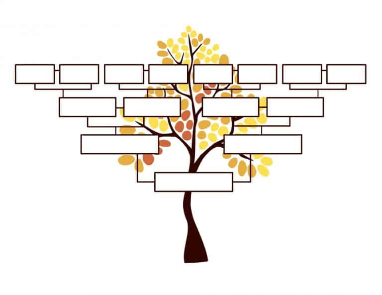 Blank Family Tree Template | Free Instant Download