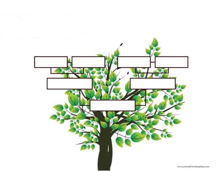 Blank Family Tree Template | Free Instant Download